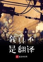 我真不是翻译 笔趣阁