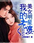 我的明星老婆全集