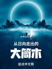 大筒木舍人和日向花火