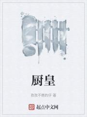 厨皇子物理净化油烟机怎么样