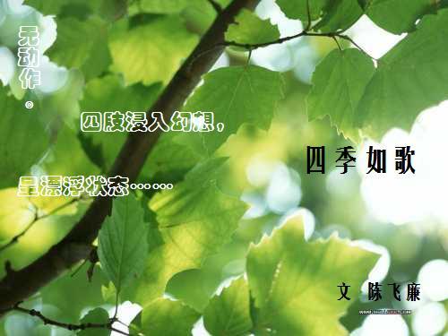 四季如歌电视剧40集免费播放