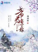 至尊神医之帝君要下嫁无广告