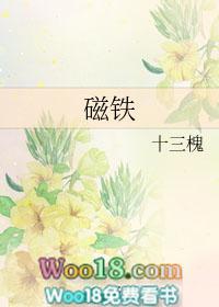 磁铁内部是从 N到S 还是S到N