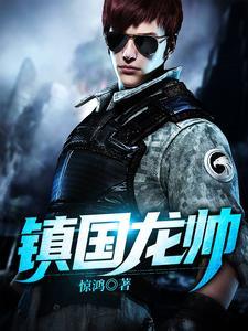 镇国龙帅和魔教圣女