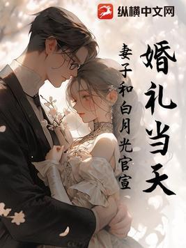 播放妻子和白月光的视频