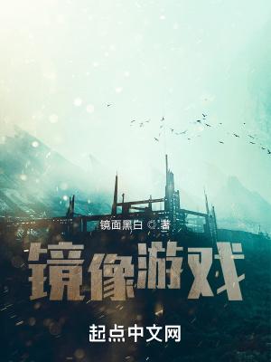 游戏镜像版是什么意思