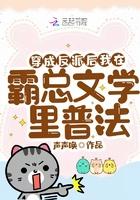 穿成霸总后我把反派弄哭了