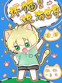 坏坏猫!