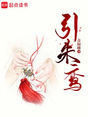 引朱鸾青铜穗的来历