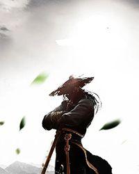 魏武大帝
