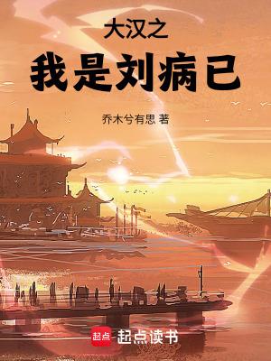 大汉之我是刘病已笔趣阁