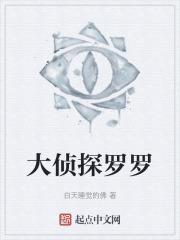 大侦探波罗1