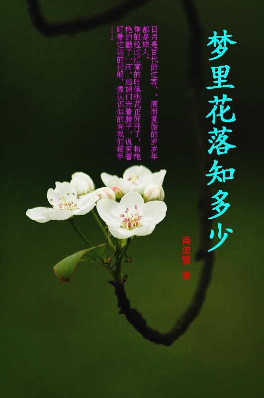 梦里花落知多少 顾小北