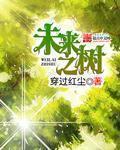未来之书的样子