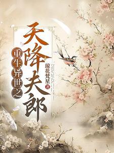 重生异世之天降夫郎讲啥